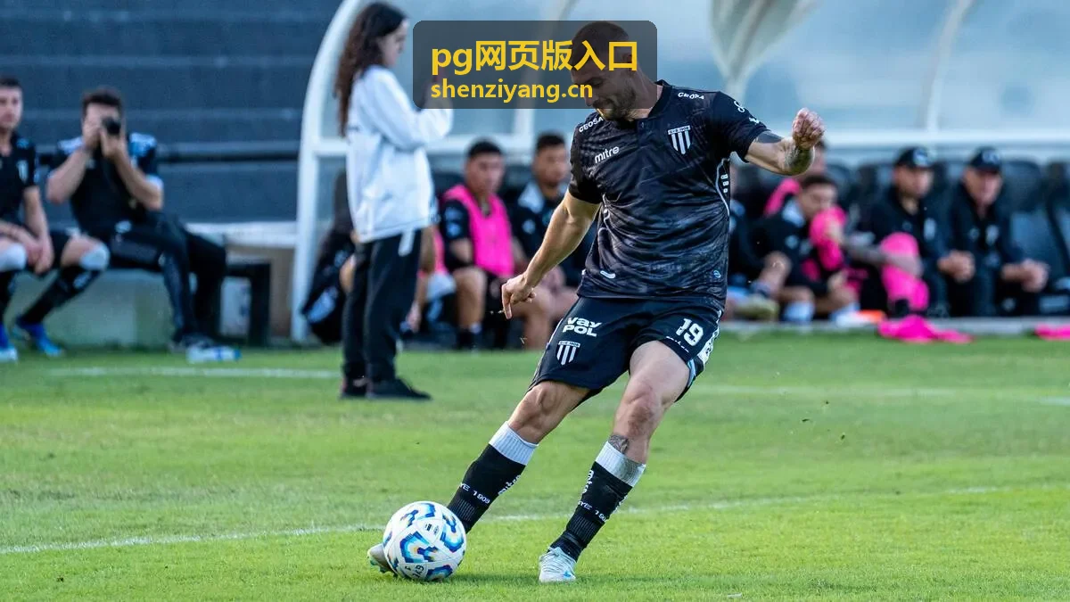 pg网页版入口在移动设备上的显示与操作示意