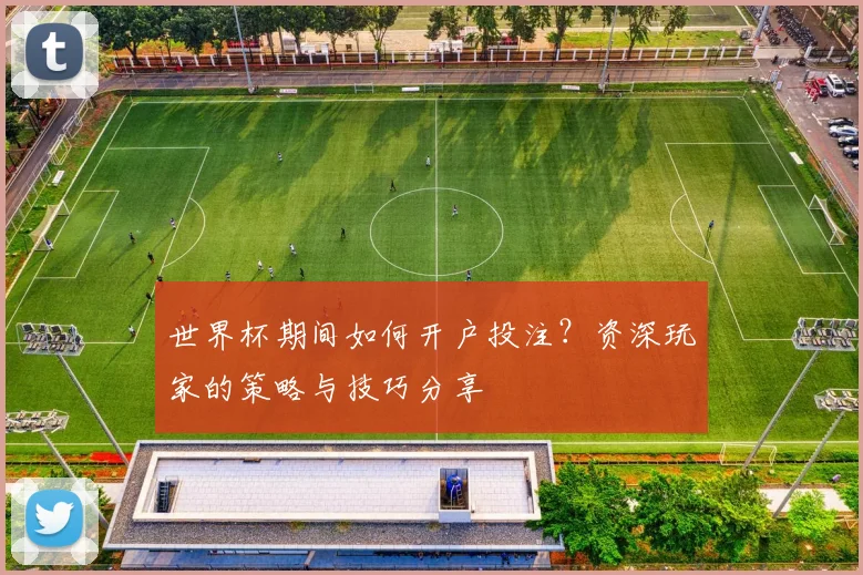 世界杯期间如何开户投注？资深玩家的策略与技巧分享